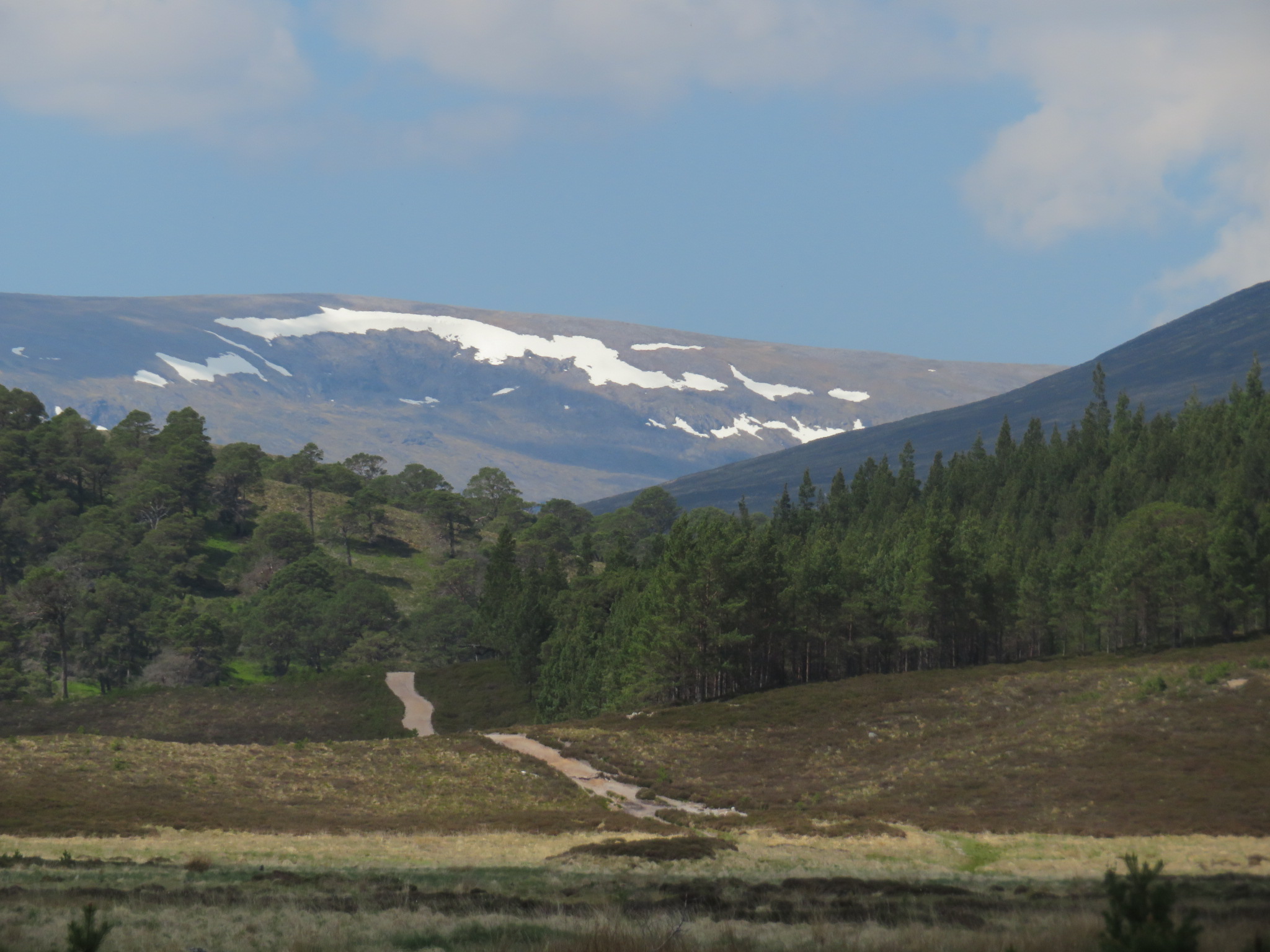 United Kingdom Scotland Cairngorms, The Cairngorms, Hills on the far side of Glen Dee, from Upper Glen Lui, Walkopedia