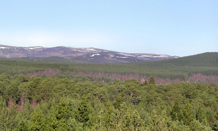 United Kingdom Scotland Cairngorms, The Cairngorms, , Walkopedia