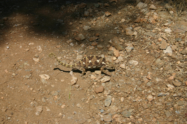 Turkey Mediterranean Lycia, Lycian Way, , Walkopedia