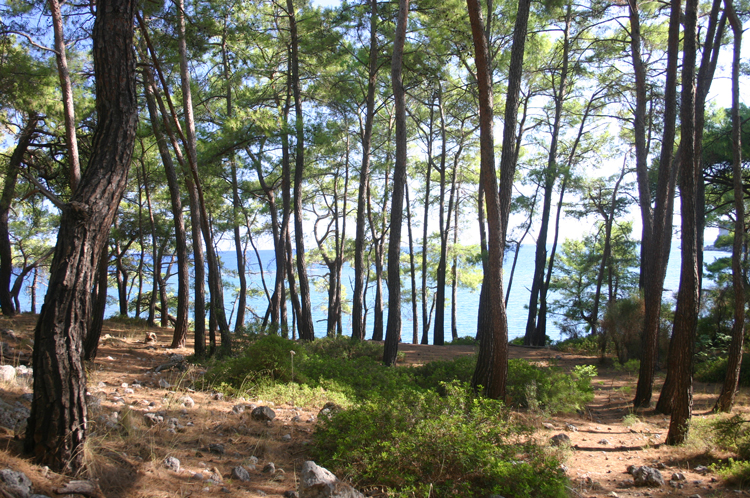 Turkey Mediterranean Lycia, Lycian Way, , Walkopedia