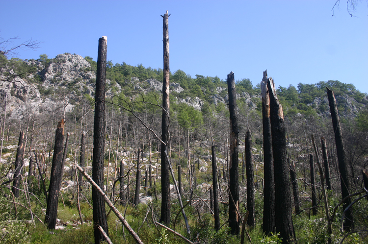 Turkey Mediterranean Lycia, Lycian Way, , Walkopedia