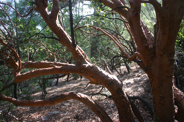 Turkey Mediterranean Lycia, Lycian Way, , Walkopedia