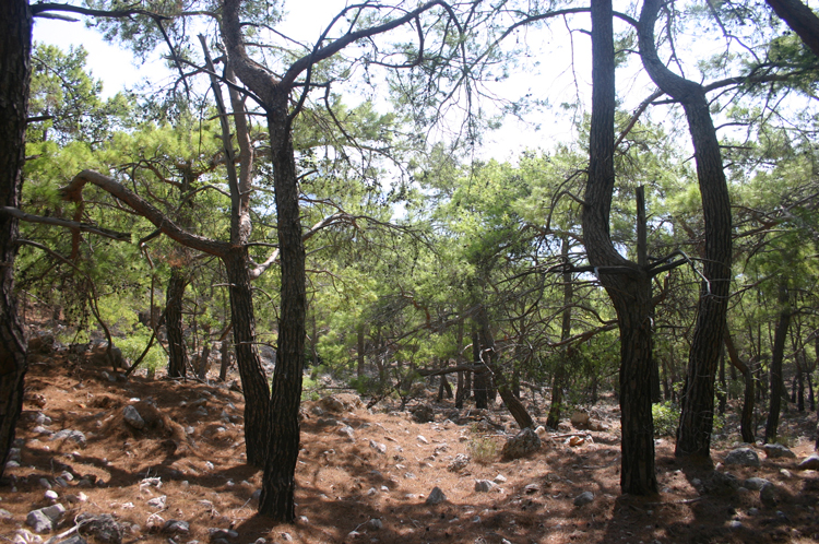 Turkey Mediterranean Lycia, Lycian Way, , Walkopedia