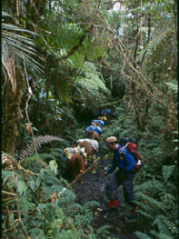 Bolivia, Cordillera Apolobamba Traverse (from Pelechuco), , Walkopedia