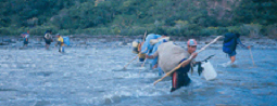 Bolivia, Cordillera Apolobamba Traverse (from Pelechuco), Crossing Tuichi tributary, Walkopedia