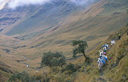 Bolivia, Cordillera Apolobamba Traverse (from Pelechuco), Apolobamba Mountains, Walkopedia