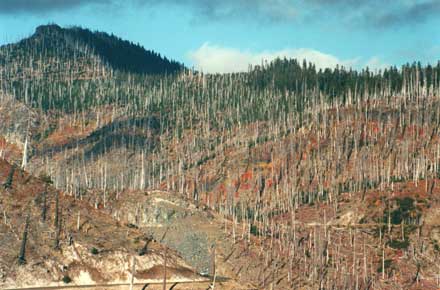 USA North-west, Mt St Helens, Mt St Helens - , Walkopedia