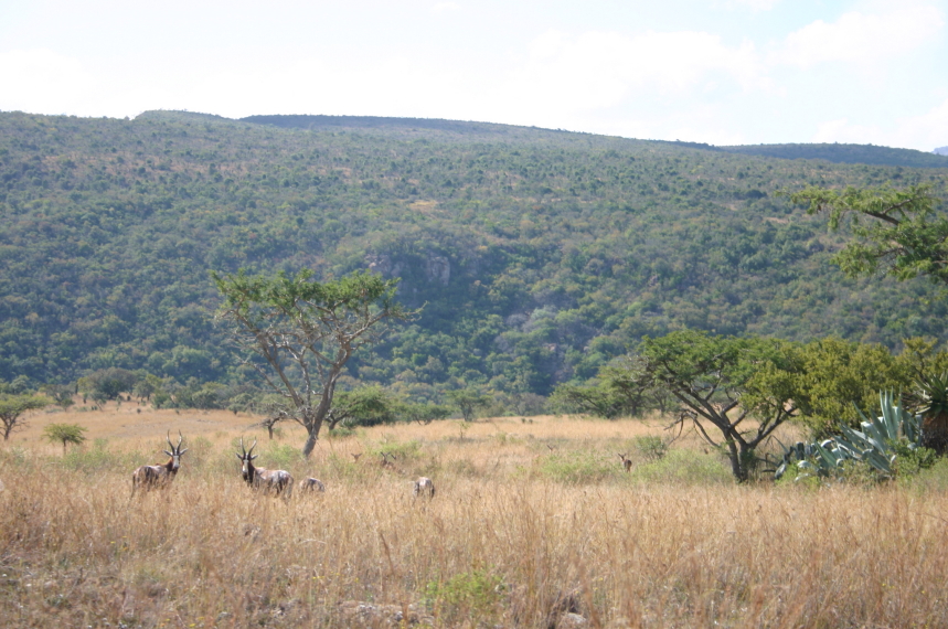 South Africa Kwazulu-Natal, The Fugitives' Trail, Isandlwana to the Buffalo River, , Walkopedia