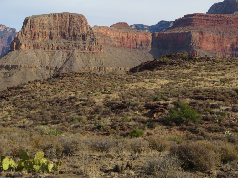 USA SW: Grand Canyon, Tonto Trail, , Walkopedia