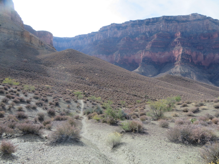 USA SW: Grand Canyon, Tonto Trail, , Walkopedia