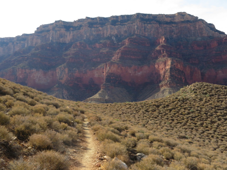 USA SW: Grand Canyon, Tonto Trail, , Walkopedia