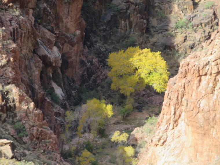 USA SW: Grand Canyon, Tonto Trail, , Walkopedia