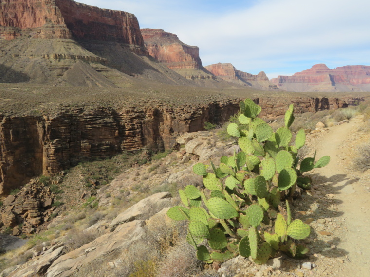 USA SW: Grand Canyon, Tonto Trail, North Wall from Inner Plateau, Walkopedia