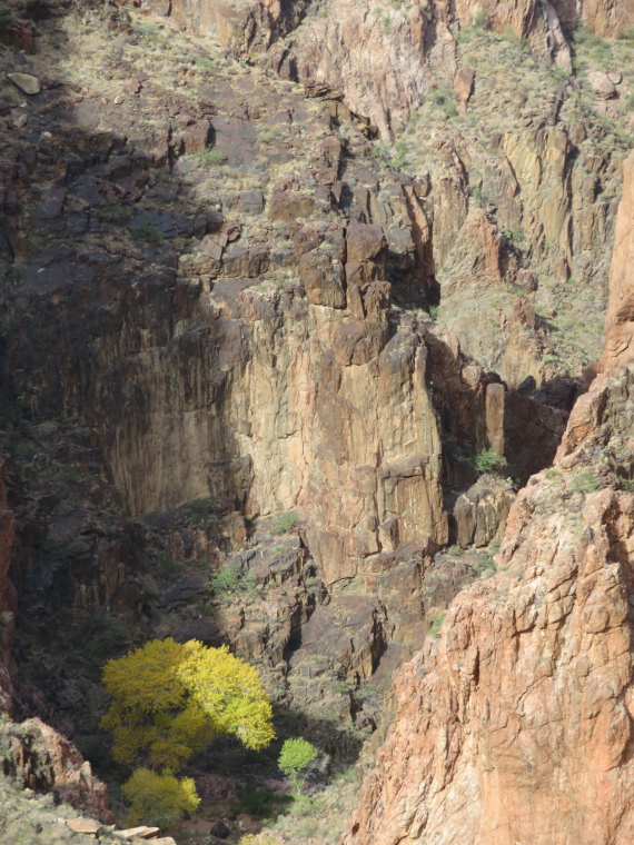 USA SW: Grand Canyon, Tonto Trail, , Walkopedia