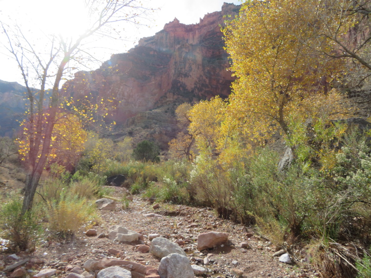 USA SW: Grand Canyon, Tonto Trail, , Walkopedia