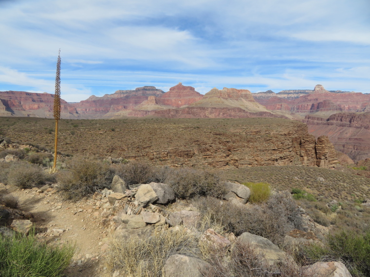 USA SW: Grand Canyon, Tonto Trail, , Walkopedia