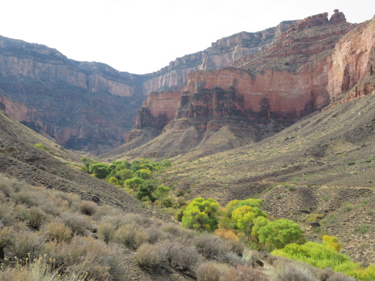 USA SW: Grand Canyon, Tonto Trail, Indian Garden, Walkopedia