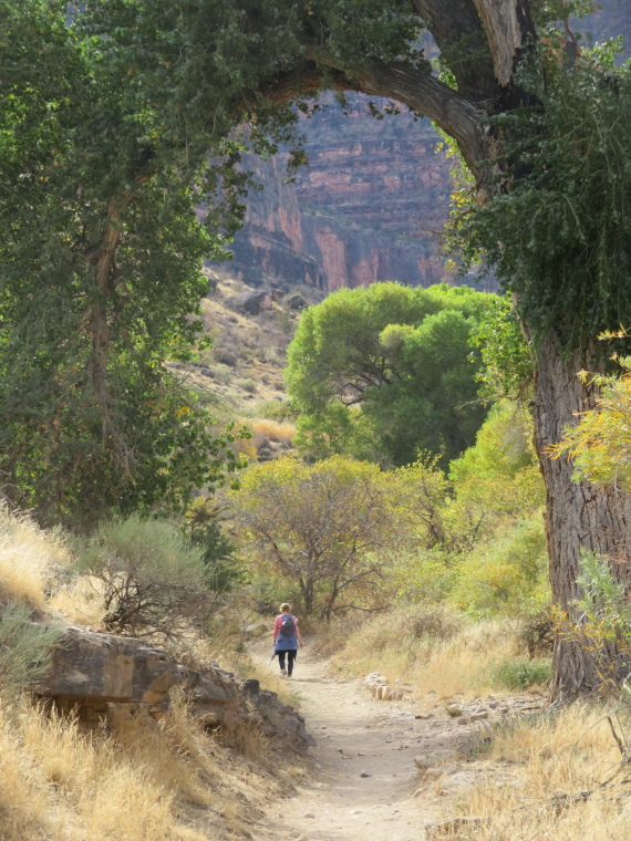 USA SW: Grand Canyon, Tonto Trail, Near Indian Garden, Walkopedia