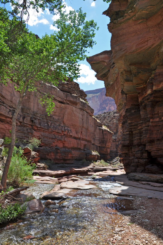 USA SW: Grand Canyon, Thunder River, Deer Creek Trails, Deer Creek Trail , Walkopedia