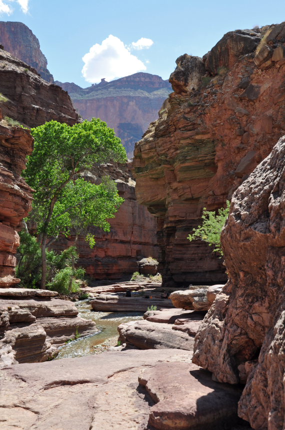 USA SW: Grand Canyon, Thunder River, Deer Creek Trails, Deer Creek Trail 2 , Walkopedia