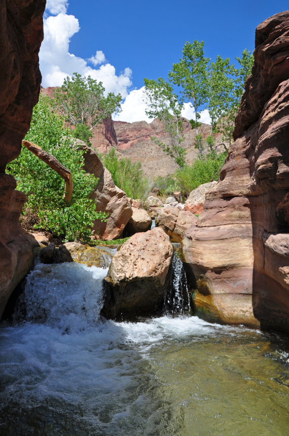 USA SW: Grand Canyon, Thunder River, Deer Creek Trails, Deer Creek Trail 3 , Walkopedia