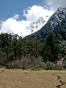 India Sikkim and nearby, Green Lake, Jakthang grasslands, Walkopedia