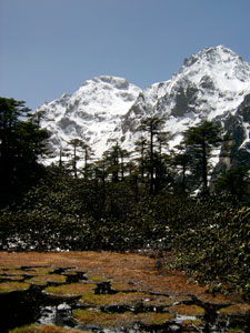 India Sikkim and nearby, Green Lake, Yabuk alpine wetland, Walkopedia