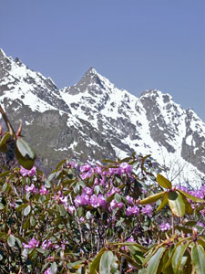 India Sikkim and nearby, Green Lake, Himalayan rhododendrons, Walkopedia