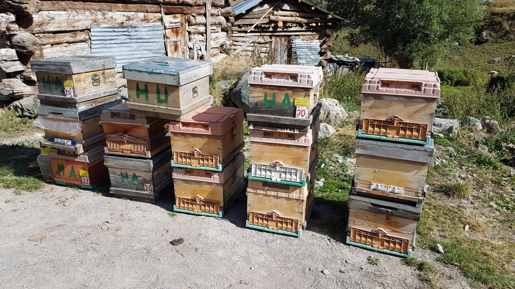 Turkey Kackar, Mt Kackar Massif, Hives awaiting move to the lower valleys for the winter, Walkopedia