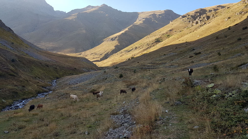 Turkey Kackar, Mt Kackar Massif, Valley to north of Olgunlar 2, Walkopedia
