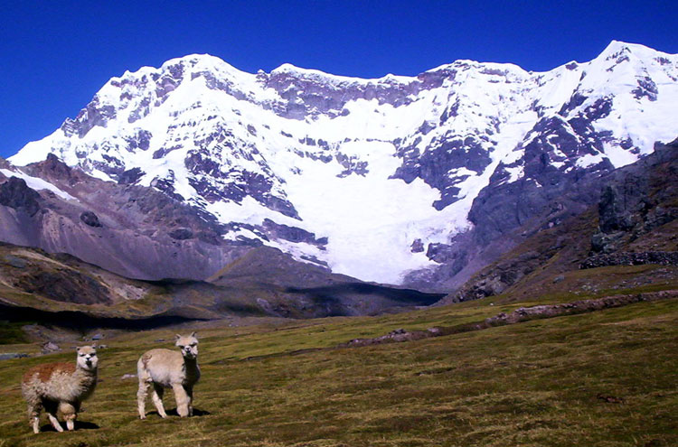 Peru Cuzco/Inca Heartlands Area, Ausangate Trek, Ausangate Circuit, Peru - © From Flickr user Rick McCharles, Walkopedia