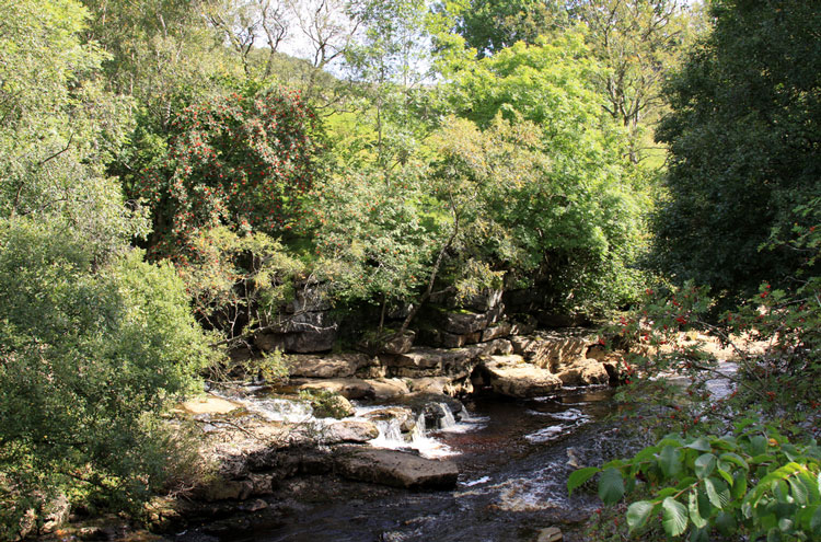 United Kingdom England North, Coast to Coast, Swale Below Keld, Walkopedia