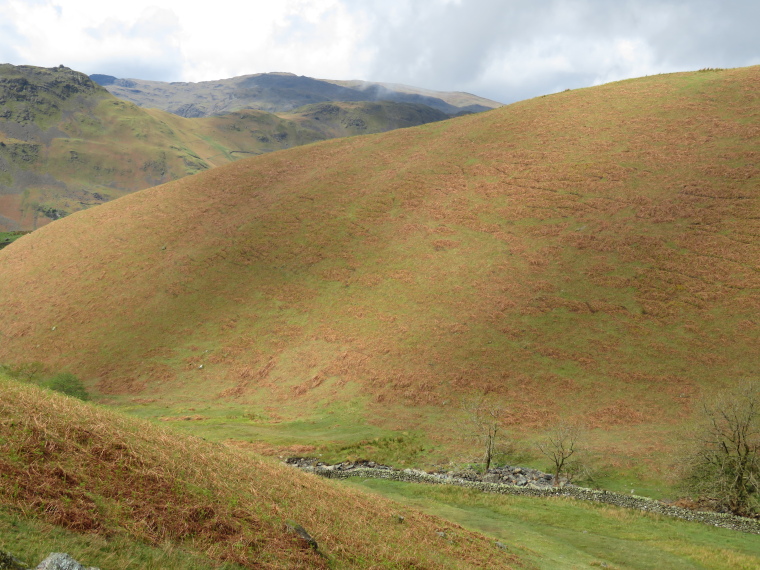 United Kingdom England North, Coast to Coast, Across Tongue Gill, good colours, Walkopedia