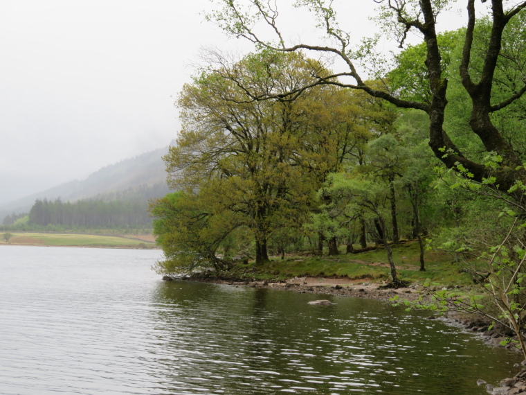 United Kingdom England North, Coast to Coast, Ennerdale Water, Walkopedia