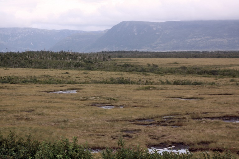 Canada Newfoundland, Gros Morne NP, , Walkopedia