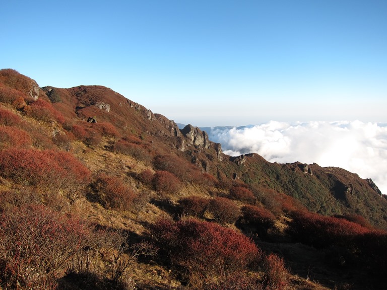 India Sikkim and nearby, Singalila Ridge to Kangchenjunga, Sandakphu, evening light, Walkopedia