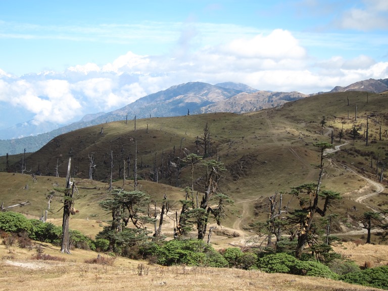 India Sikkim and nearby, Singalila Ridge to Kangchenjunga, Grassy ridgetop, Walkopedia