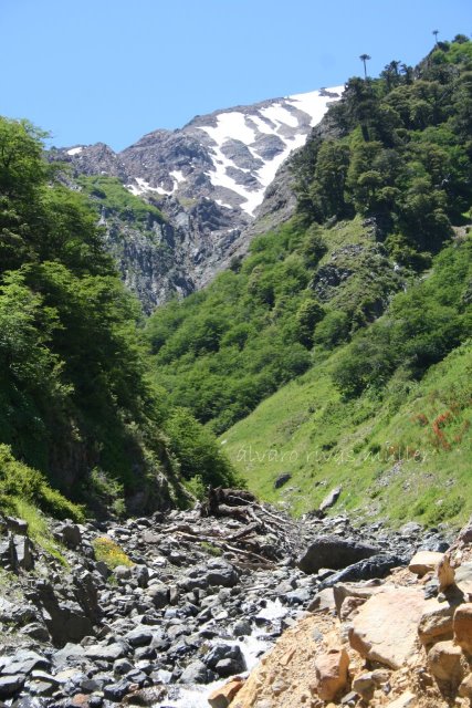 Chile Patagonia: Conguillio NP, Sierra Nevada, Sierra Nevada, Walkopedia