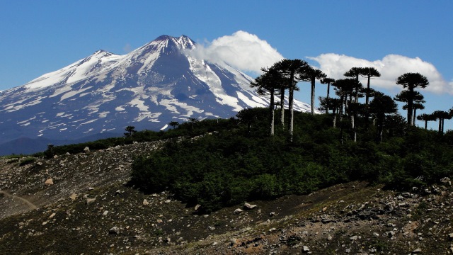 Chile Patagonia: Conguillio NP, Sierra Nevada, Sierra Nevada, Walkopedia