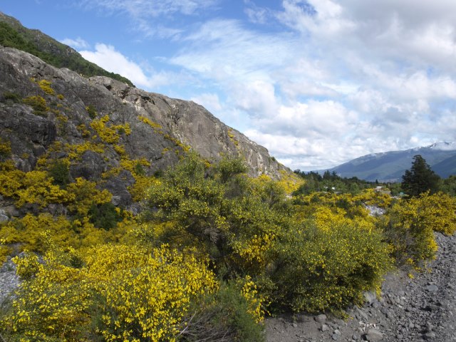 Chile Patagonia: Laguna del Laja NP, Volcan Antuco Circuit, Volcan Antuco Circuit, Walkopedia