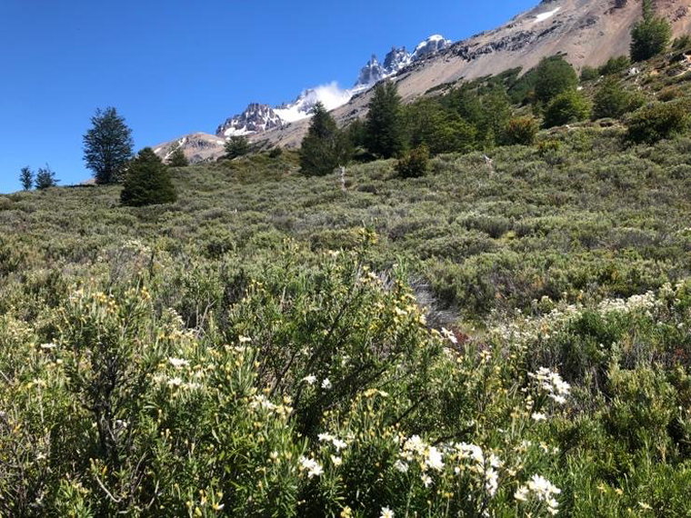 Chile Patagonia, Cerro Castillo, Undulating middle section 3, Walkopedia