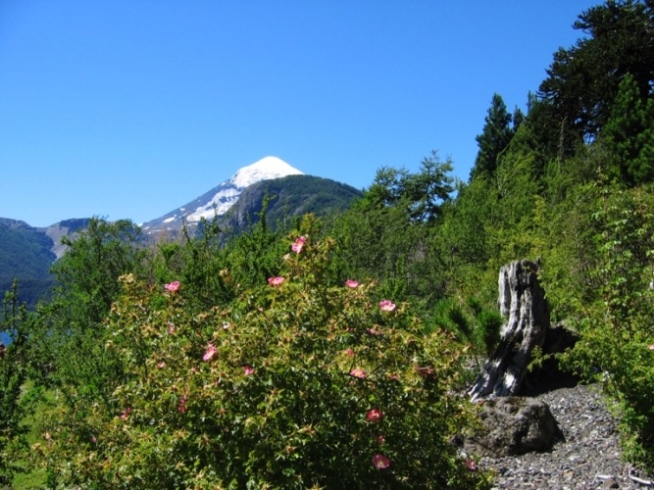 Argentina Patagonia, Volcan Lanin, Lake District, , Walkopedia