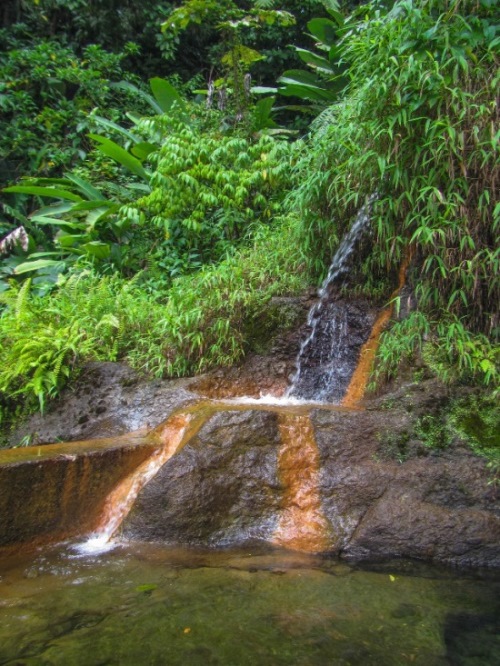 Dominica Scotts Head-Cabrits NP, Waitukubuli National Trail, Titou Gorge Small Hot Springs, Walkopedia