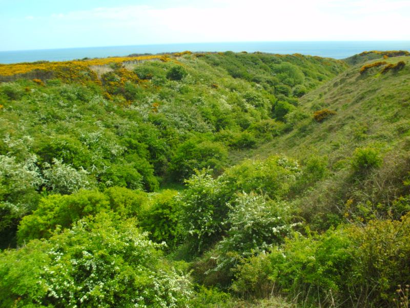 United Kingdom England North, Durham Heritage Coastal Path, Overlooking treetops to the sea, Walkopedia