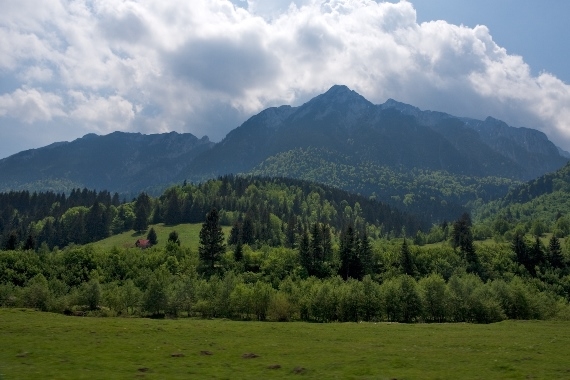 Romania Carpathian Mountains, Piatra Craiulai National Park, , Walkopedia