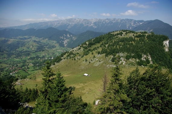 Romania Carpathian Mountains, Piatra Craiulai National Park, , Walkopedia