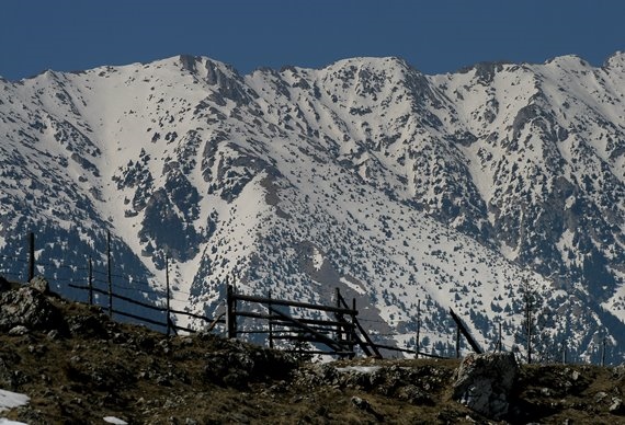 Romania Carpathian Mountains, Piatra Craiulai National Park, , Walkopedia