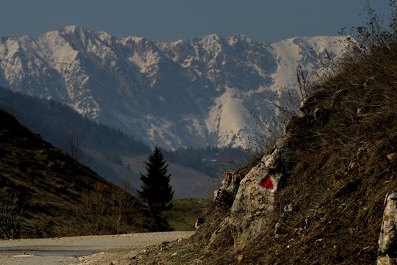 Romania Carpathian Mountains, Piatra Craiulai National Park, , Walkopedia