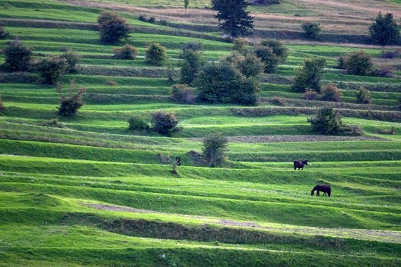 Romania Carpathian Mountains, Piatra Craiulai National Park, , Walkopedia