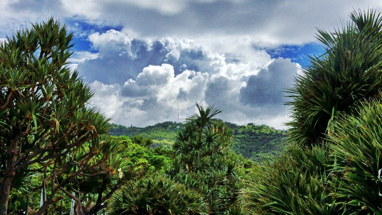© flickr user- Miwok Reunion Island: © flickr user- Miwok